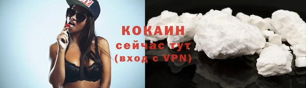 PSILOCYBIN Покров