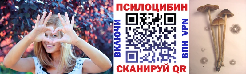 Псилоцибиновые грибы GOLDEN TEACHER  Липки 